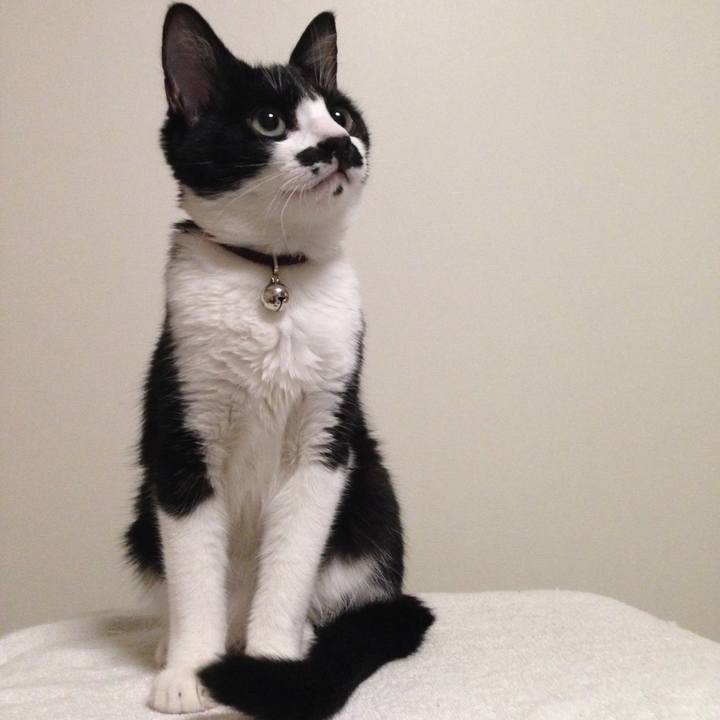 D2fc9dab 0851 44dd 865b 5b48c2eca4c6