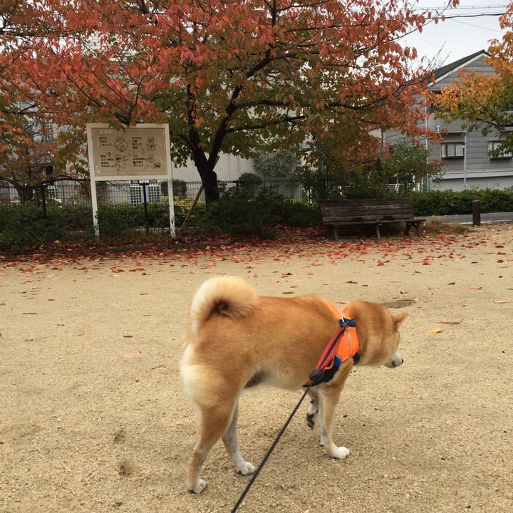 D2fcada7 952f 4cac 9081 838bedcd763b