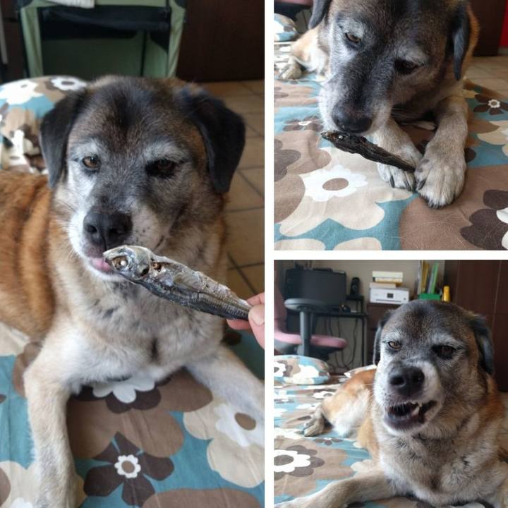 D2fcd1f2 8ebd 441b 8765 3e09caec3257