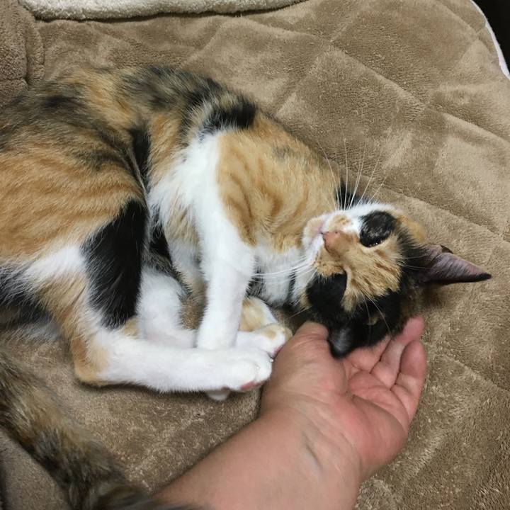 D2fce301 c59a 469e 9831 7187dfa66425