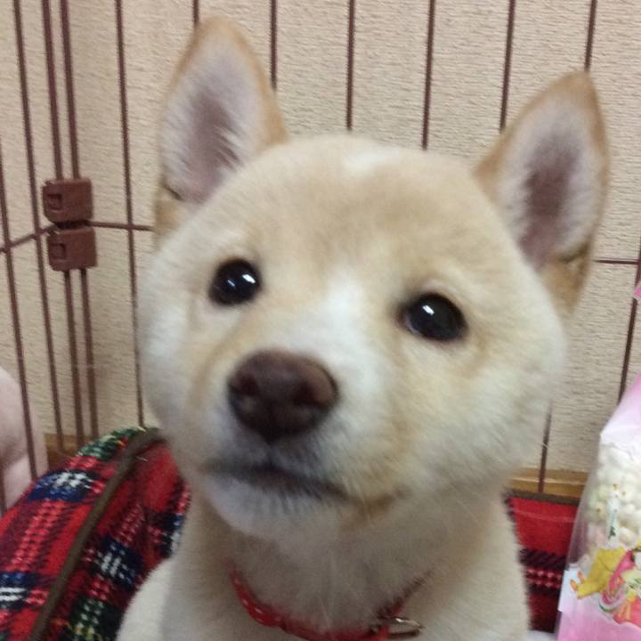 D2fd0014 f1fb 42c4 b8d5 bf4fce331639