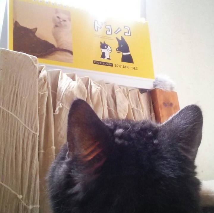 D2fd0929 0621 4a70 982e 9195c12abecd