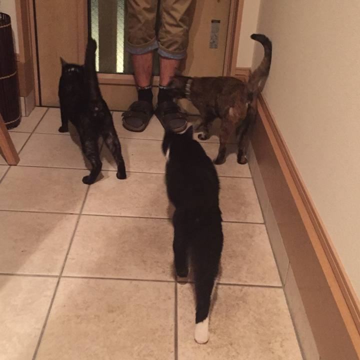 D2fdcc3a 16a5 4b43 ab5a 82a54d167bd0