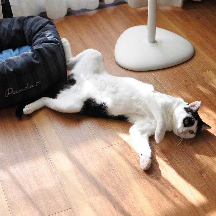 D2fdcc6d 6e05 4e95 b99a 77631e1a5bcd