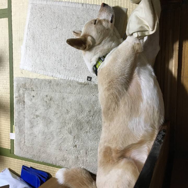 D2fdf95a 46ca 47ed b29d 07f55518fb9c