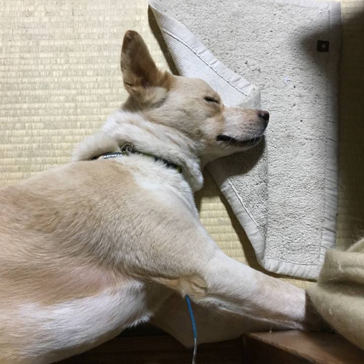 D2fe5495 0c0e 4868 a87f f2e486b4937c