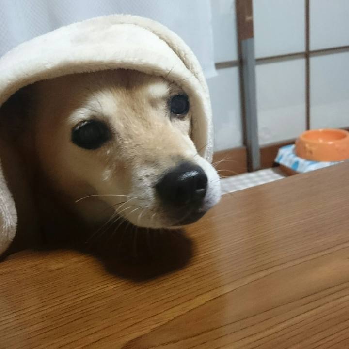 D2fe5616 aec9 4d63 a6b0 551f605189f3