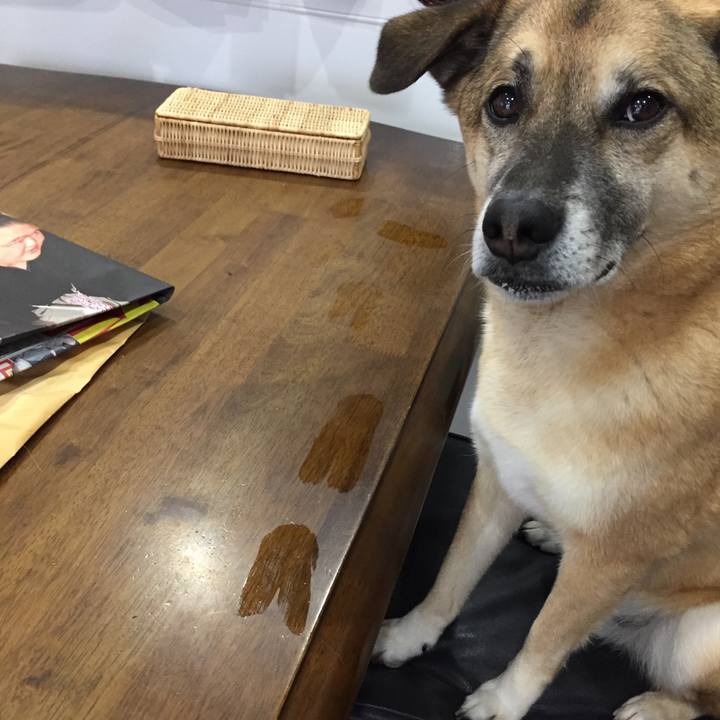 D2fe96e3 983b 4940 bd96 36fed630dda1