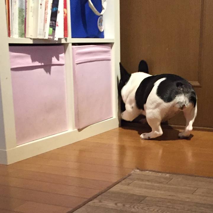 D2feac2c 68de 4081 b8c3 fe3b3e041745