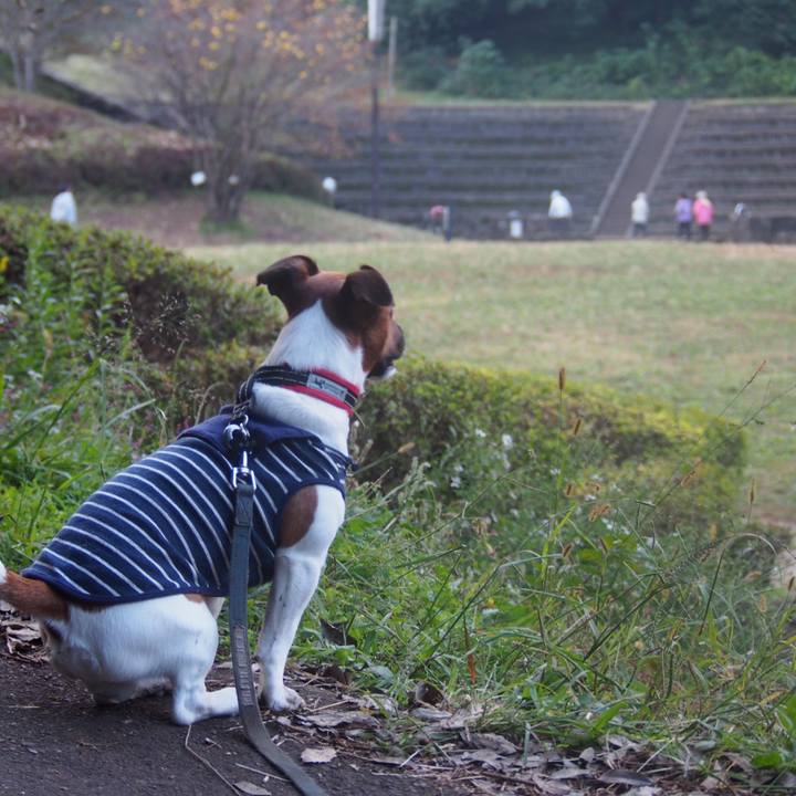 D2ff7181 cde3 46ae a44a 4761519313b6