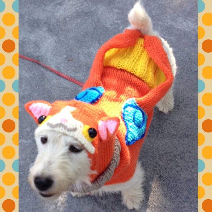 D300adf7 588b 41f5 a01b c48cc1691d5a