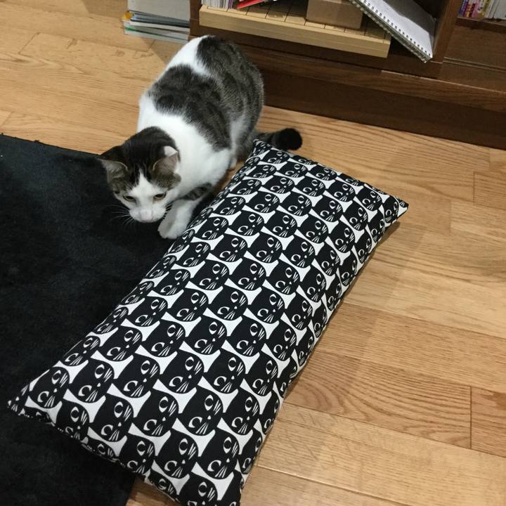 D301eb03 7820 463b bbbc 668c6415e978