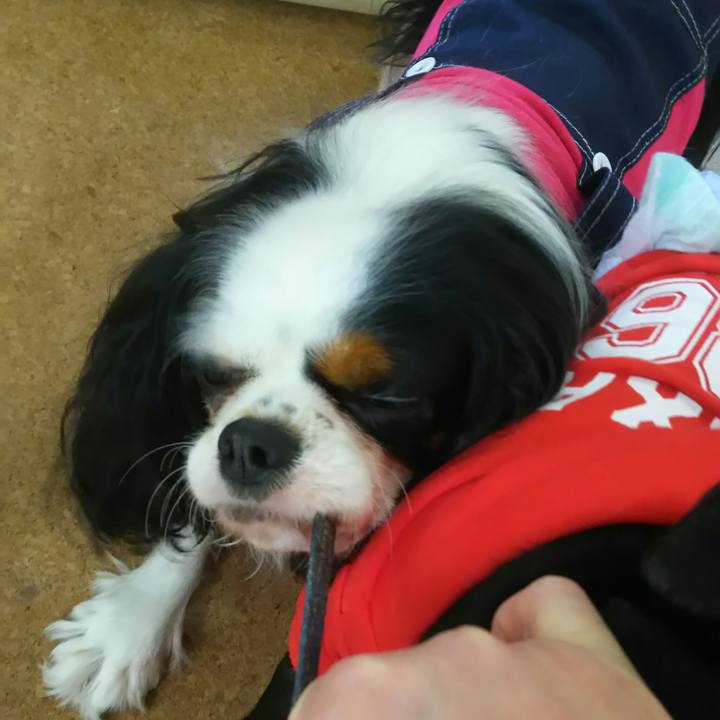 D302456c 355a 4137 8a7c a7c78b2421f1