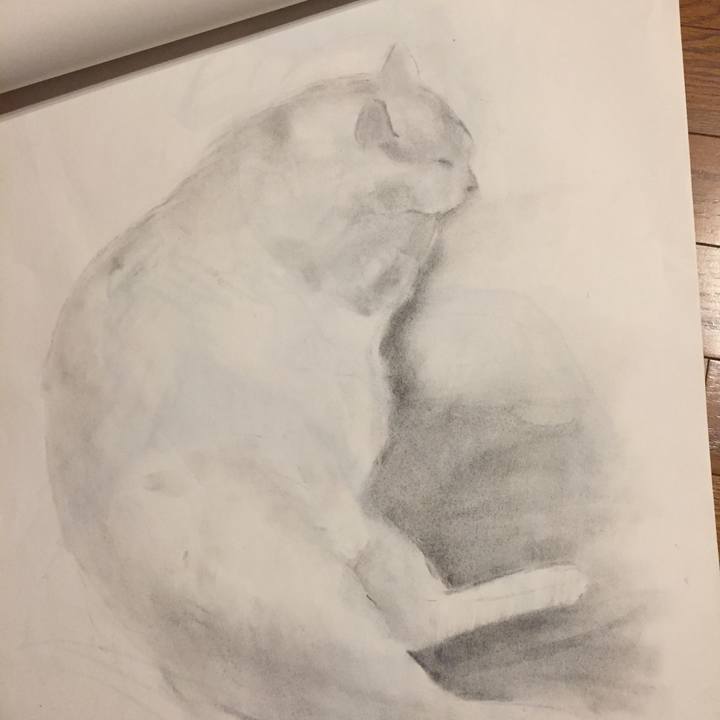 D30249dc 7343 47c4 b7ed f25629b39b20