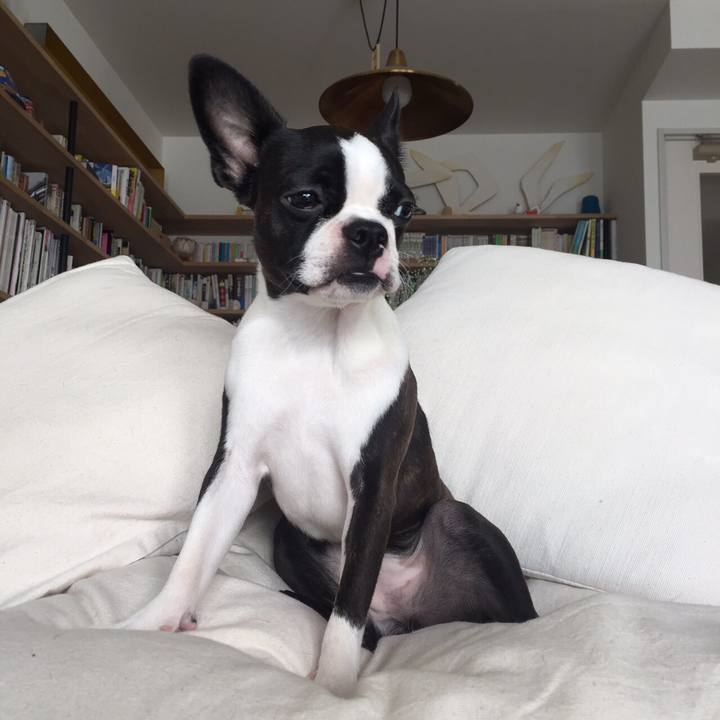 D302db0d a19d 4767 837c 245034147b30