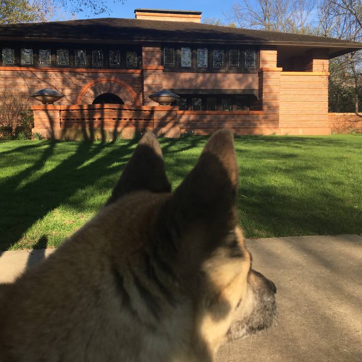 D30316fa e448 4537 8c46 a460ac029e3e