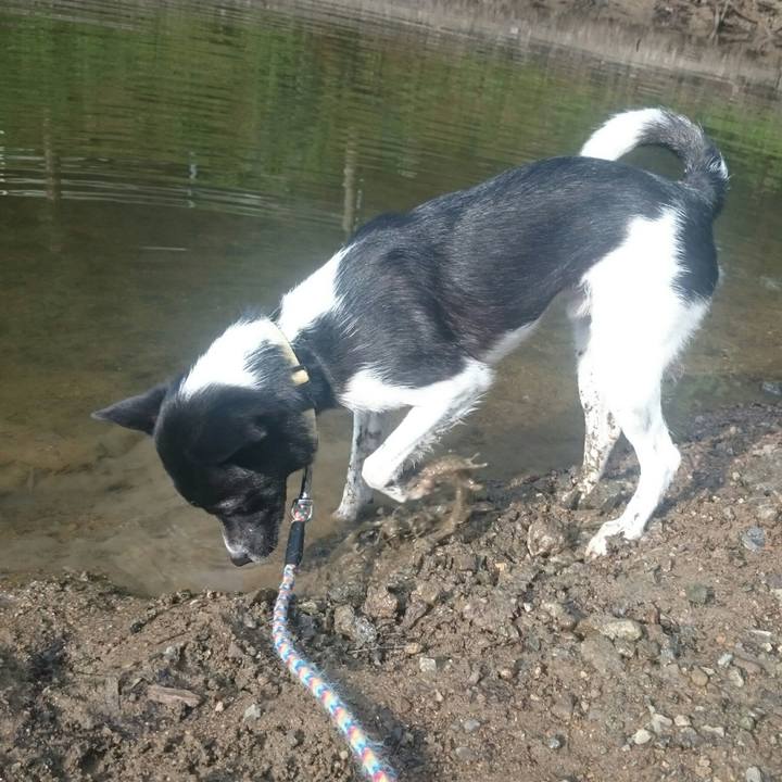 D3032a6c a017 4a79 b62f bdb2ddfbd5f1