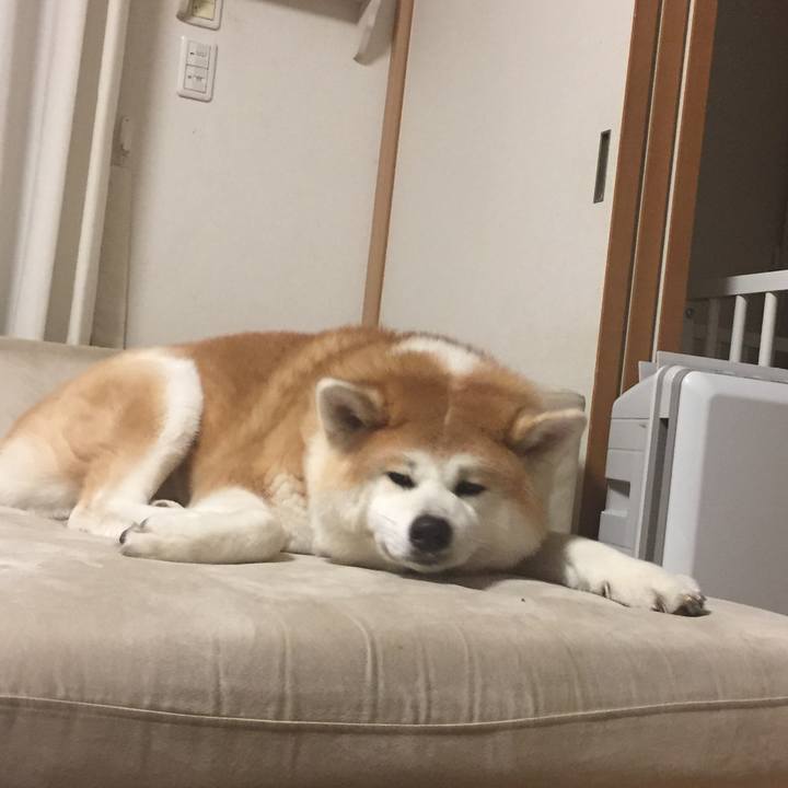 D3039ae6 7e05 432d a225 679cc04cd94c