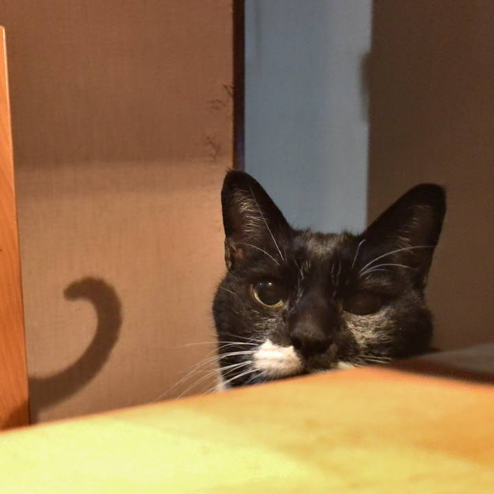 D3047b0c fe07 4f00 9e2c c35197696321