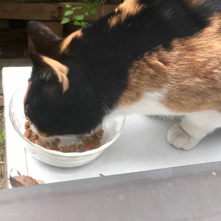 D3060607 ef70 4285 898d f12e2cca6765