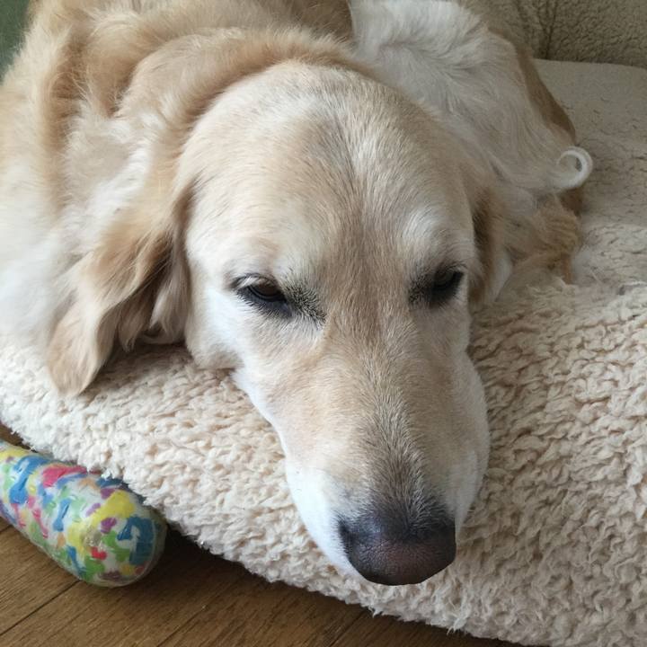 D3060abf 13a8 4818 8f35 b71b20fb8434