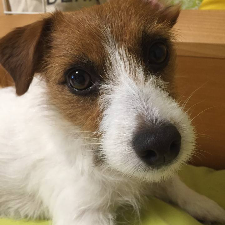 D3061216 3bb6 4485 87af 29ff882010a6