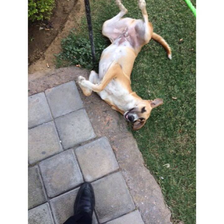 D306864b a9c4 4efc 9b80 c5fe635afa11