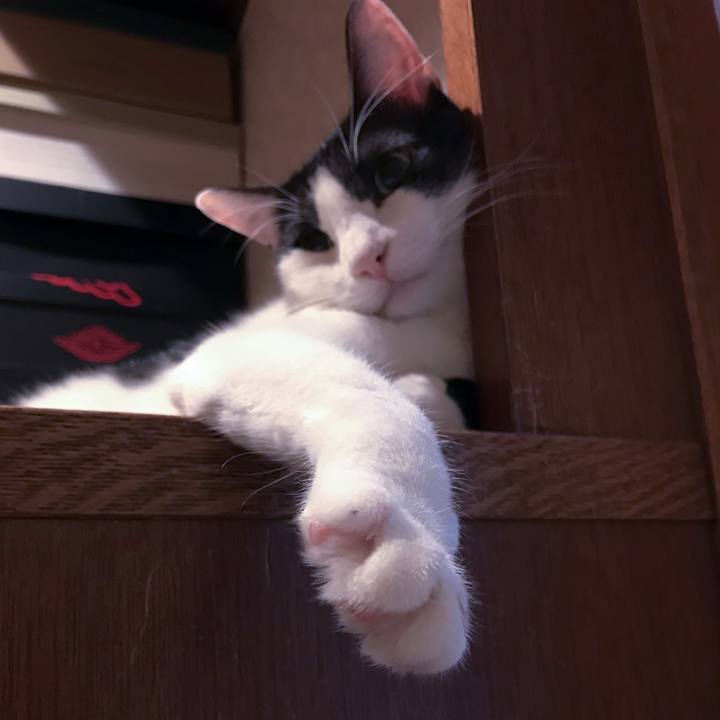 D3079a64 77a8 4d1f 9463 75a1ca94c9f2