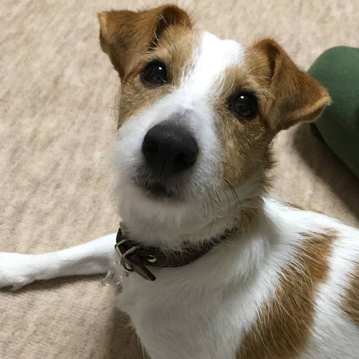 D30886cb 8baa 4430 919f da5c1ffe46a5