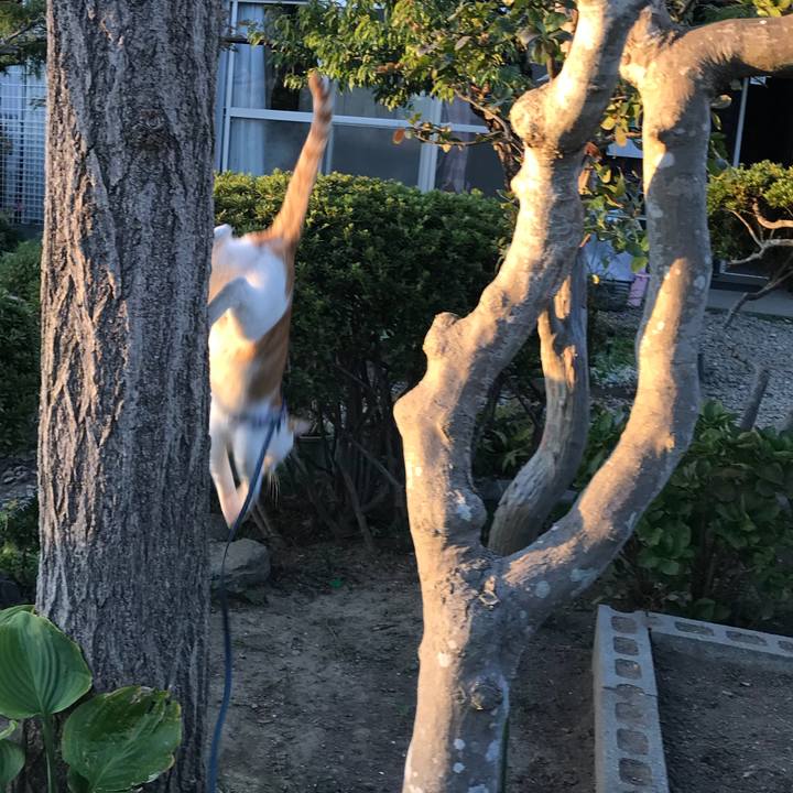 D308943e 7397 4cd5 8d82 ba2f6482b0eb