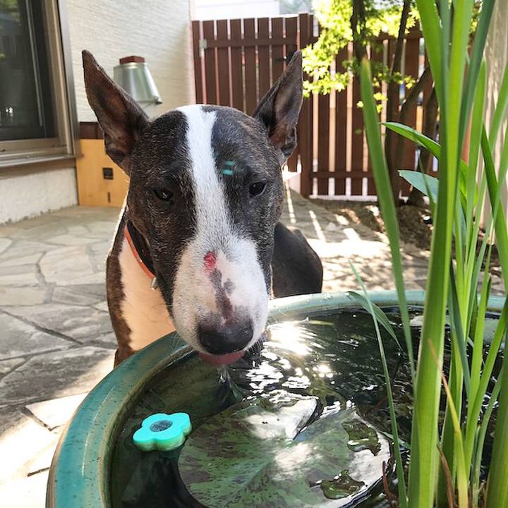 D308994a fe02 46fb abe8 26e8d0d317d8