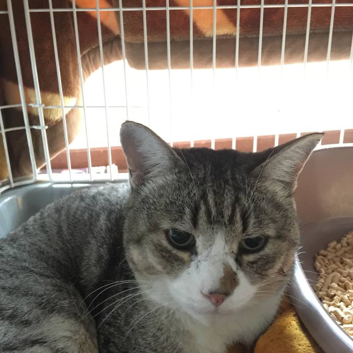 D3089d4c f8b7 497d 811d 5f1a39d4ef1e