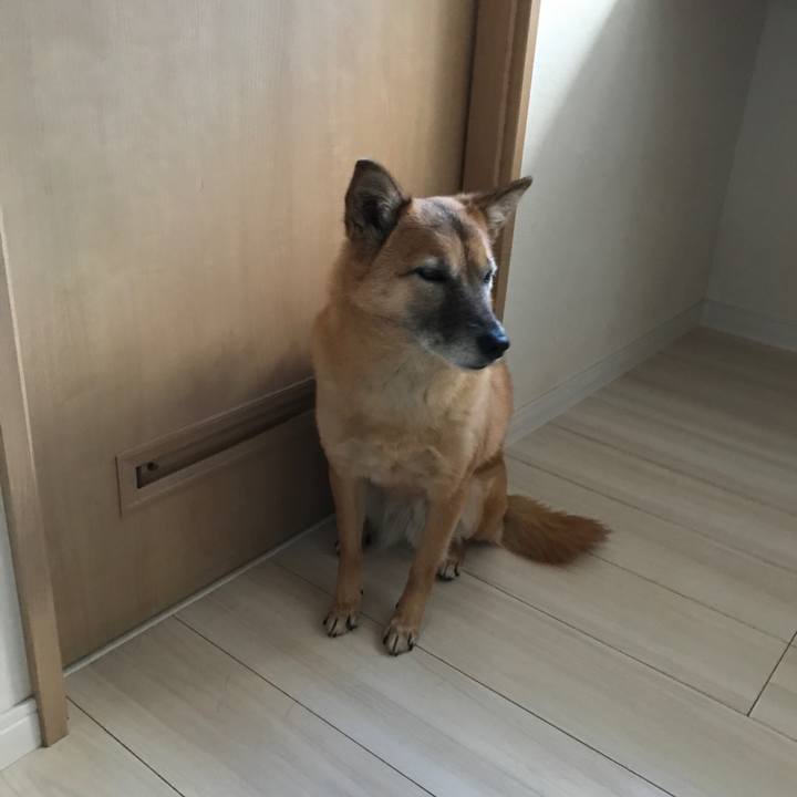 D308aaf9 a7bb 4771 a78e 227d4232e456