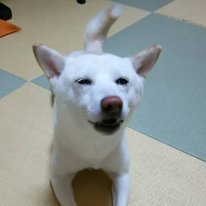 D3092fd4 41b9 42f9 a6d4 535ad8857d1d