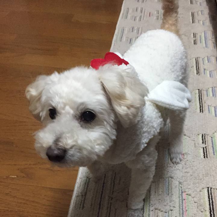 D309514a de06 497c 8115 ee68306dec83