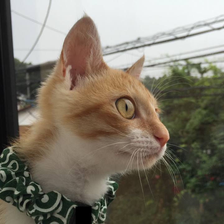 D30974e0 7946 4ddd bc2e 2e940c8d1f7c