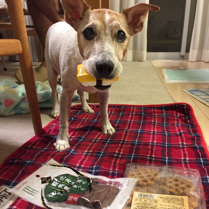 D309755f e224 4b61 af44 5c1f8d56eb74