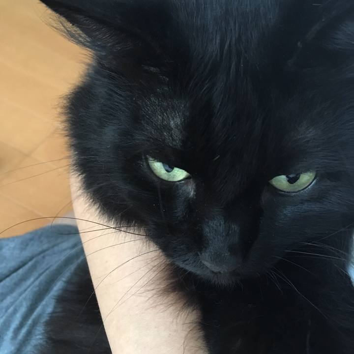 D309c064 10c0 4b50 8ad7 0c4a1ac16855