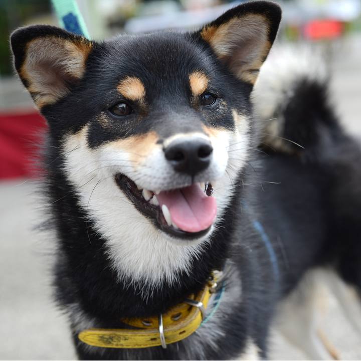 D30a1f37 0fa9 414c 8144 32dcf47c7846