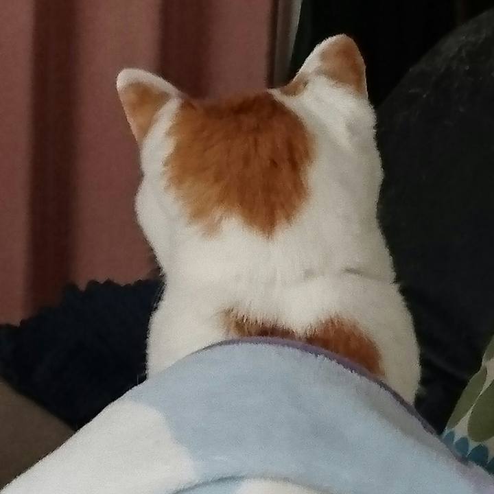 D30a835e 5709 4705 8ae9 de10d42e1c2d