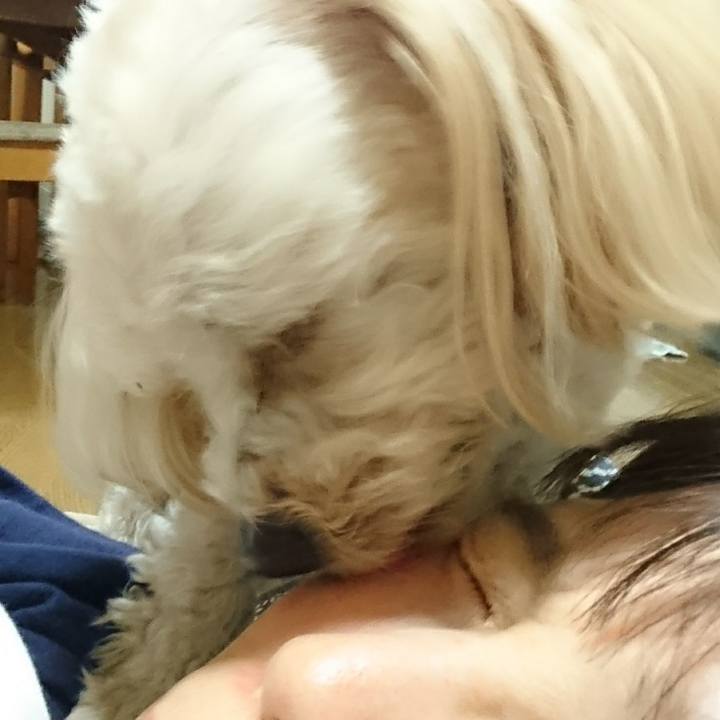 D30aadf8 3377 48a8 8eca 9e056e8c26f1