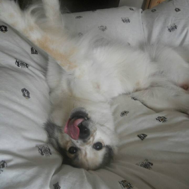 D30ac8c6 983e 4140 b39f db80dffdd287