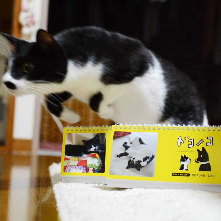 D30bfa4c c7b2 4e90 ad90 3f5b7f7525a5