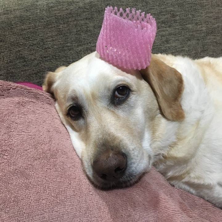 D30bff60 b674 427a a076 e5f1109c7480