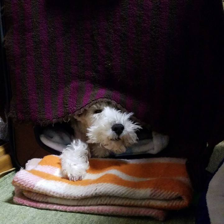 D30c0898 5786 4708 a94a dbe459c0afd0