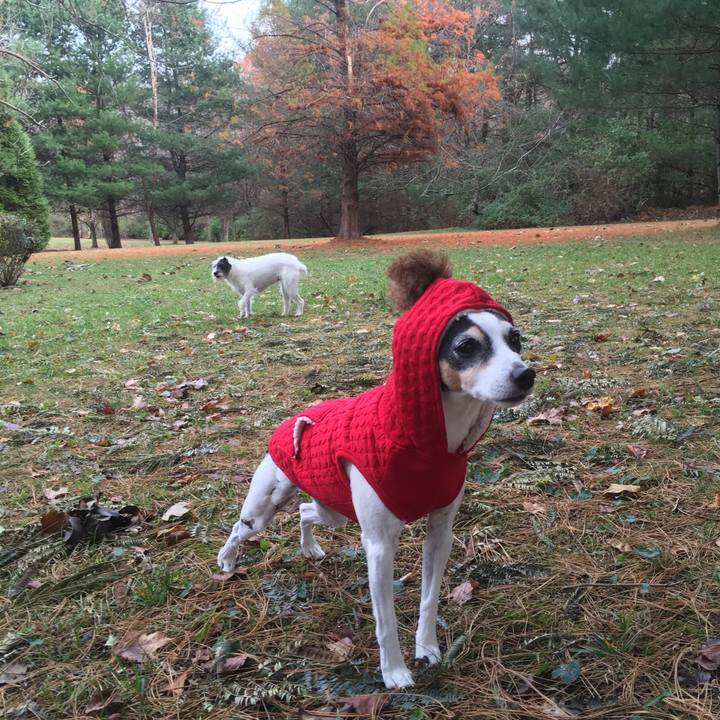 D30c7b94 d3e9 4165 8103 e366dcdf2b33