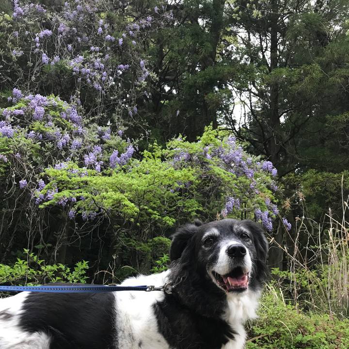 D30c9202 b8df 4c0d a96d 4c29a03057ef