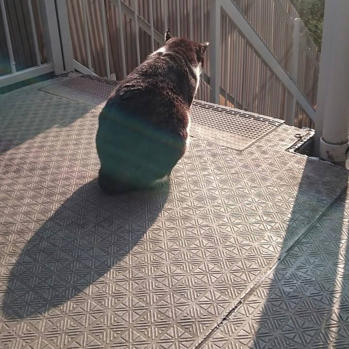 D30c9981 49df 4490 991c dc8fc8f2c540