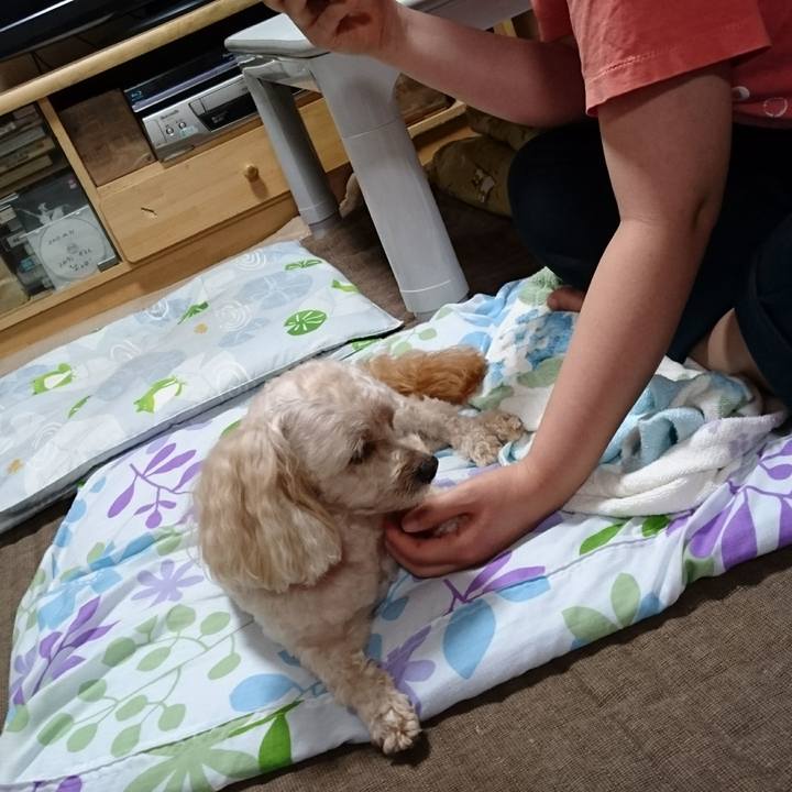 D30ceac0 a86e 4f98 86ba def9bb65e482