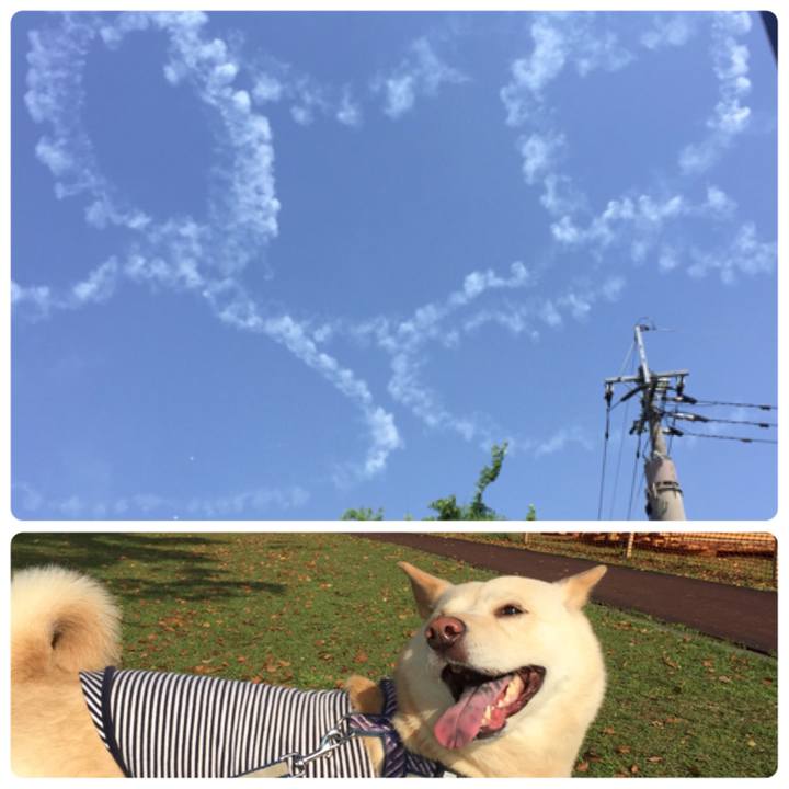 D30db1a9 2217 416b b8f5 9e6f8eb8d6cd